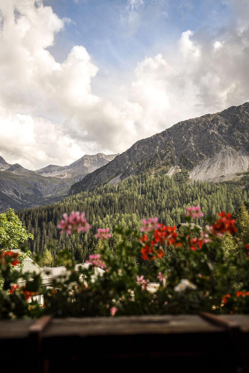 Hotel Garni Sonnenhalde Arosa Buitenkant foto